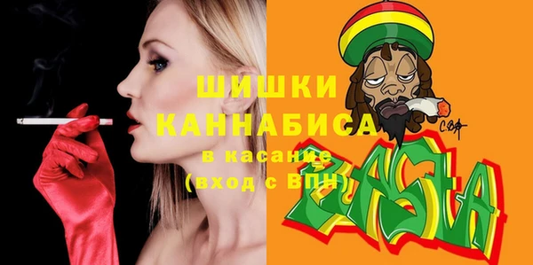 ешки Новодвинск
