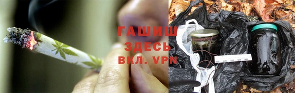 тгк Нея