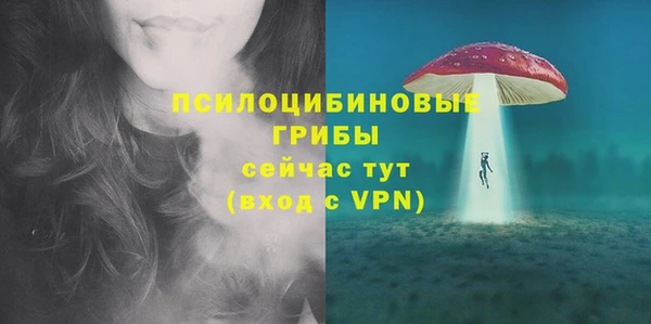 тгк Нея