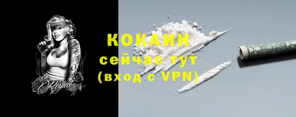 бошки Новозыбков