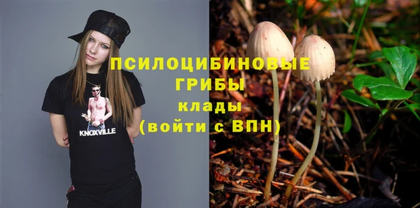 ешки Новодвинск