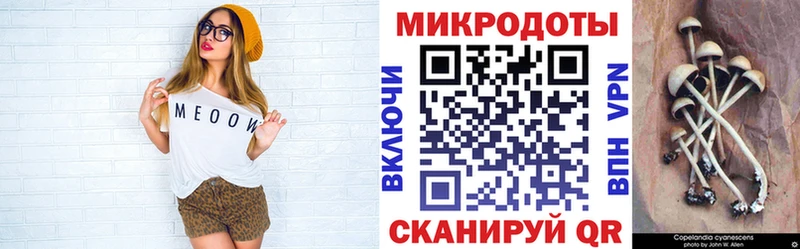 Галлюциногенные грибы Cubensis Спасск-Рязанский