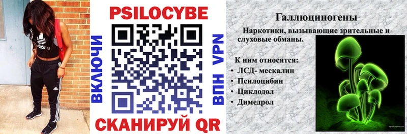 Галлюциногенные грибы мицелий  Спасск-Рязанский 