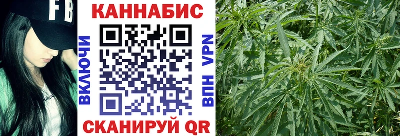 Конопля семена  Спасск-Рязанский 